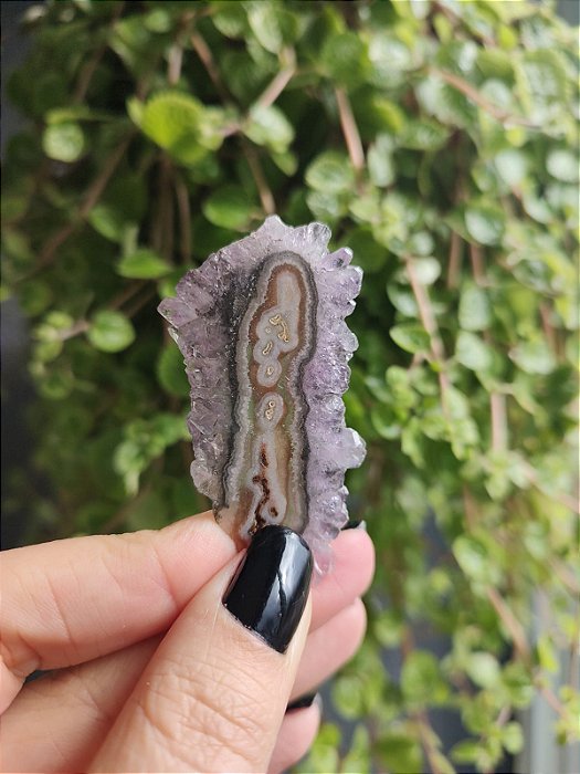 Stalactites - Flor de Ametista