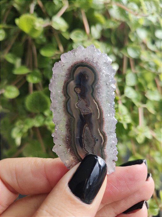 Stalactites - Flor de Ametista