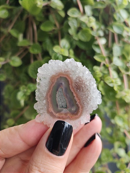 Stalactites - Flor de Ametista