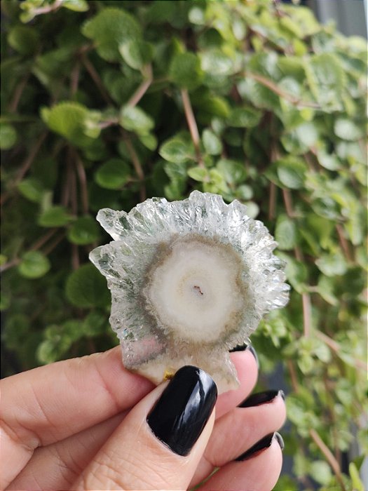 Stalactites - Flor de Ametista