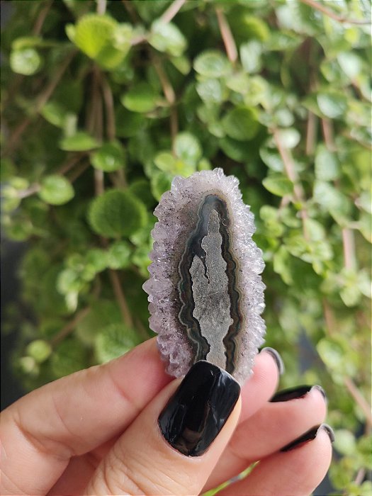 Stalactites - Flor de Ametista