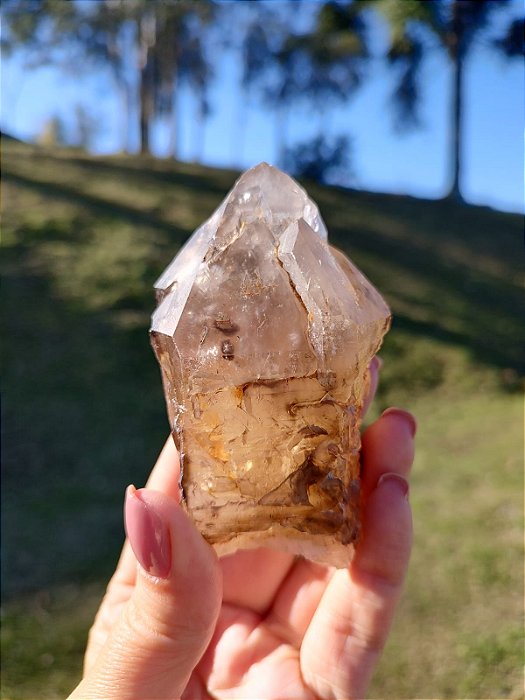 Elestial Fumê Acitrinado