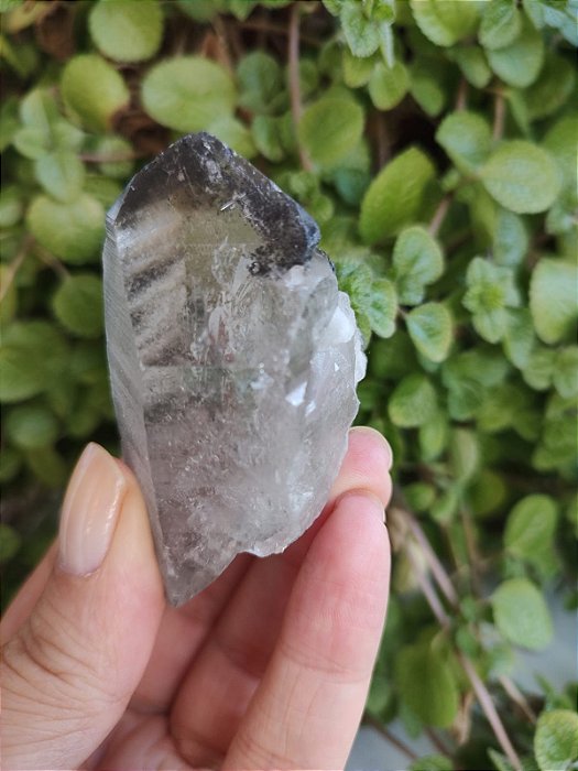 Cristal Mestre Lemuriano Quartzo Negro