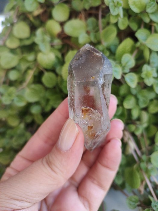 Cristal Mestre Lemuriano Biterminado Quartzo Negro