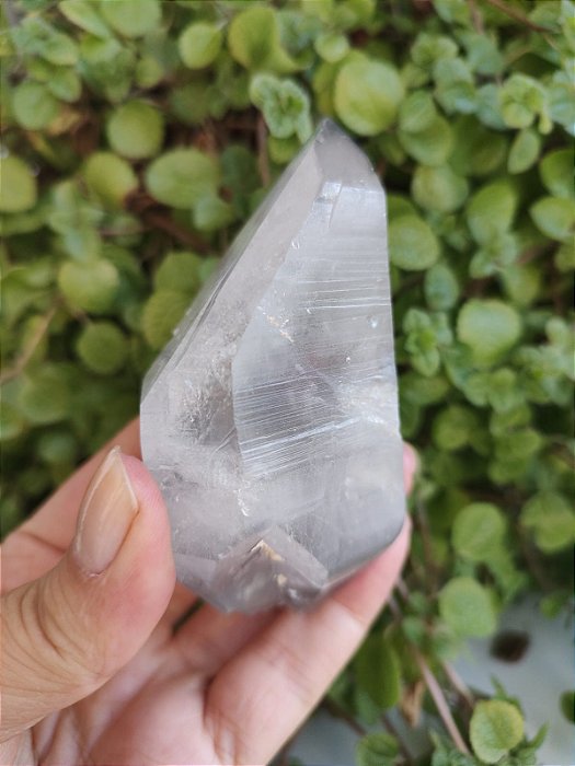 Cristal Mestre Biterminado Lemuriano Quartzo Negro