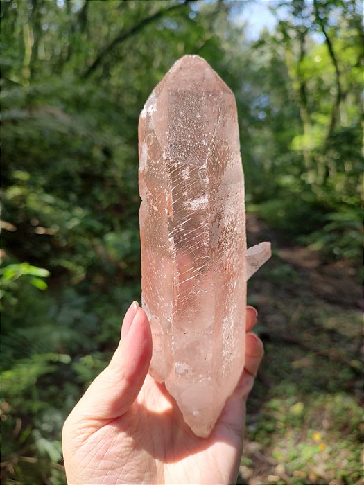 Mestre Pink Lemurian Ponte Autocurado