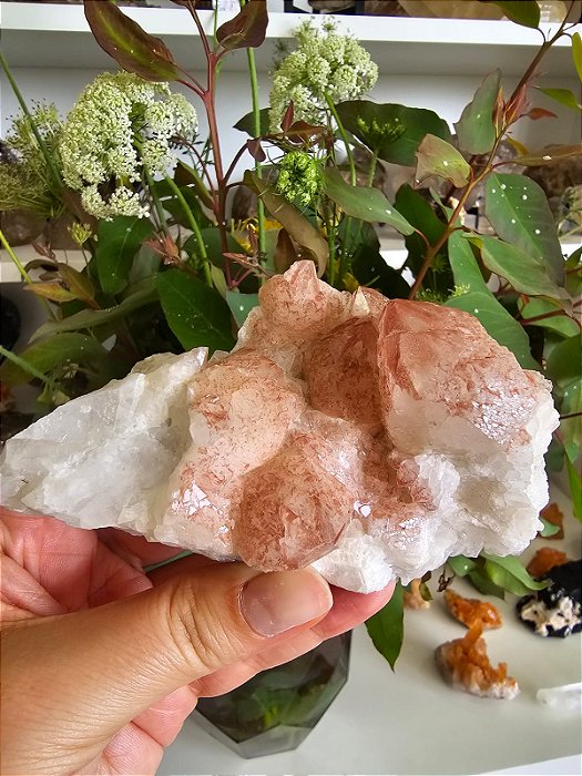 Drusa Pink Lítio