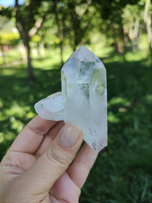 Mestre Autocurado Translúcido (qualidade extra)