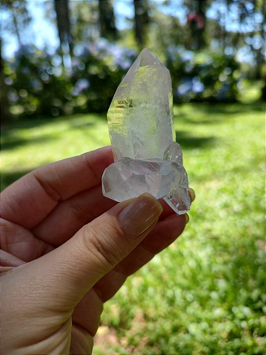 Mestres  Biterminados em Quartzo Translúcido ( Qualidade Extra)