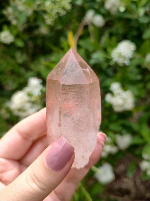 Mestre Lemuriano Rosa