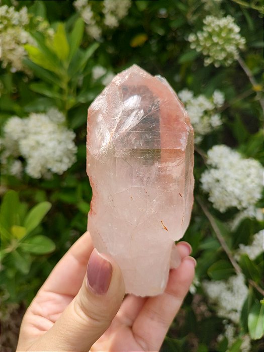 Mestre Lemuriano Rosa