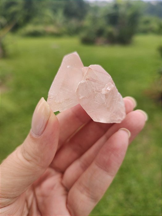 Formação Rosa com Ponta Biterminada