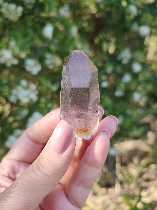 Quartzo Lemuriano Violeta