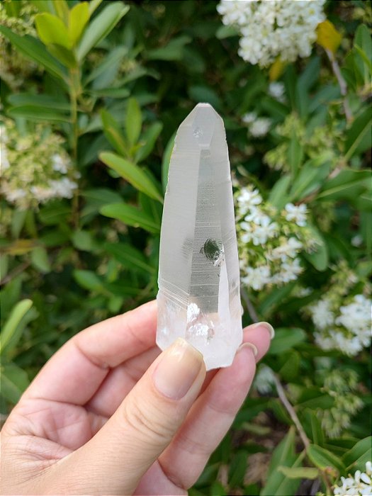 Cristal Mestre Lemuriano