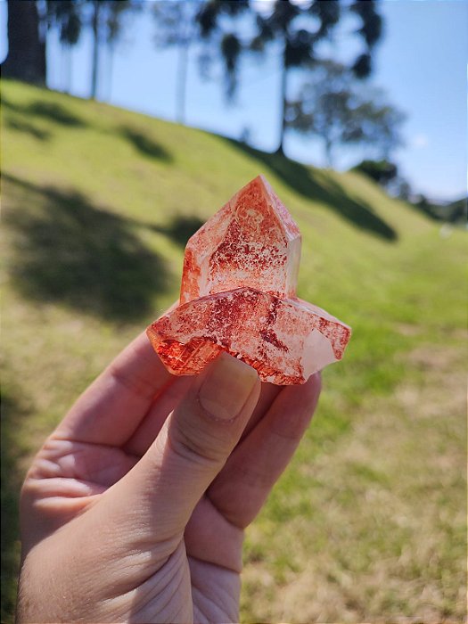 Formação Tangerina