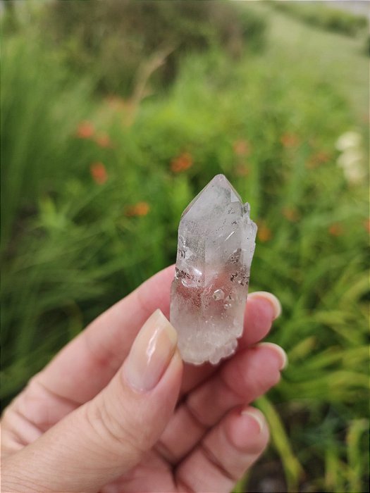 Mestre Fumê Autocurado