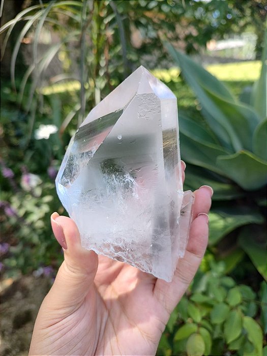 Mestre Autocurado Phantom Semente Estelar