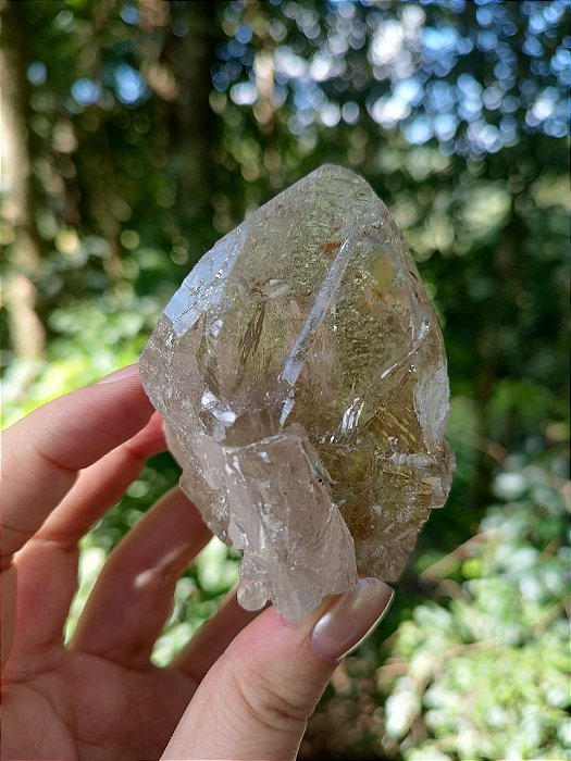 Mestre Citrino Elestial Autocurado  Arco-Íris