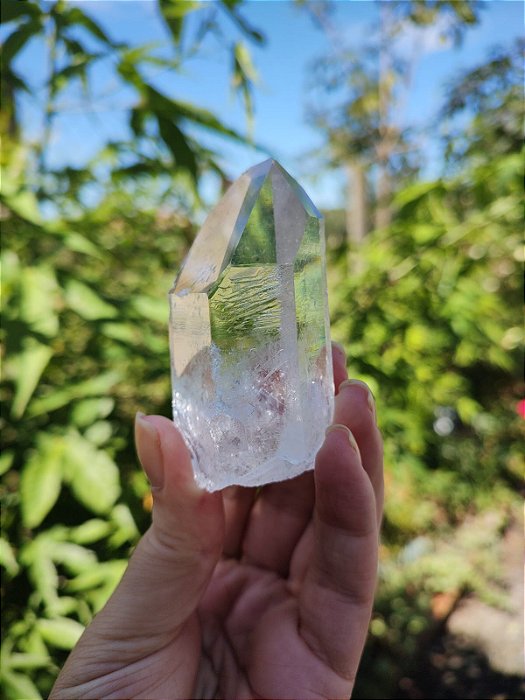 Mestre Semente Estelar