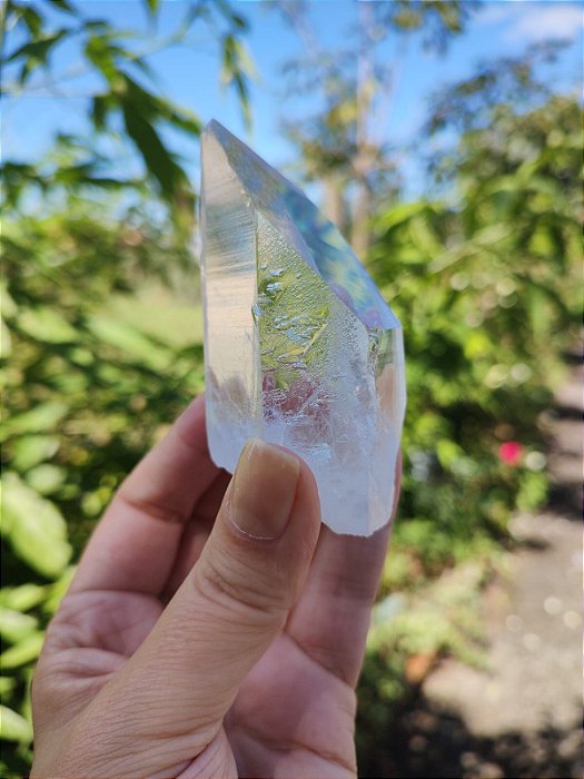 Mestre Semente Estelar