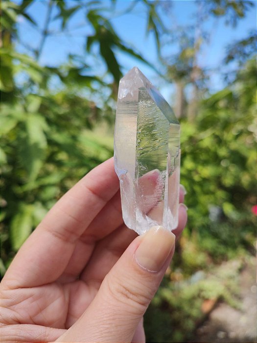 Mestre Semente Estelar