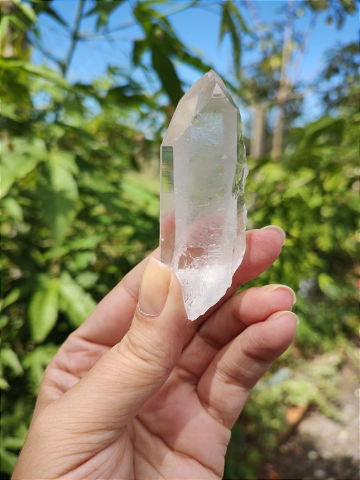 Mestre Semente Estelar