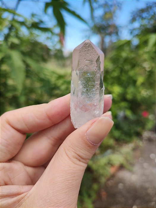 Mestre Semente Estelar Imprint