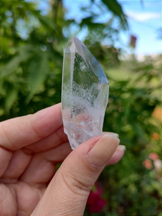 Mestre Semente Estelar Elo do Tempo Futuro