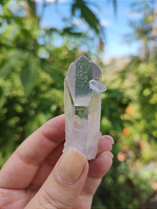 Mestre Semente Estelar com Biterminado na Face