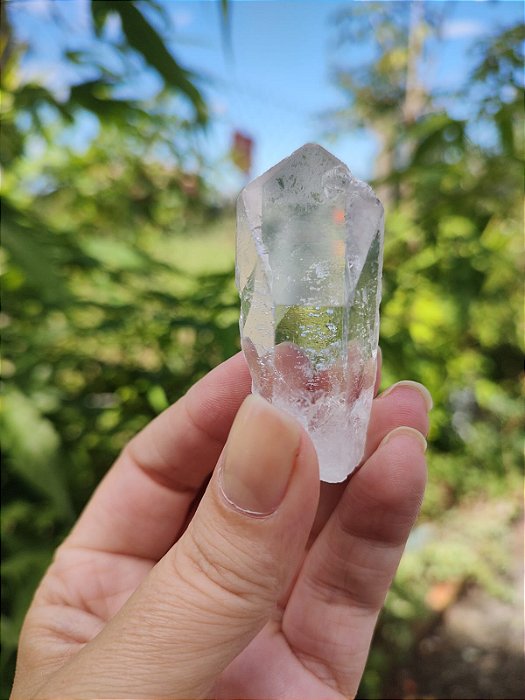 Mestre Semente Estelar