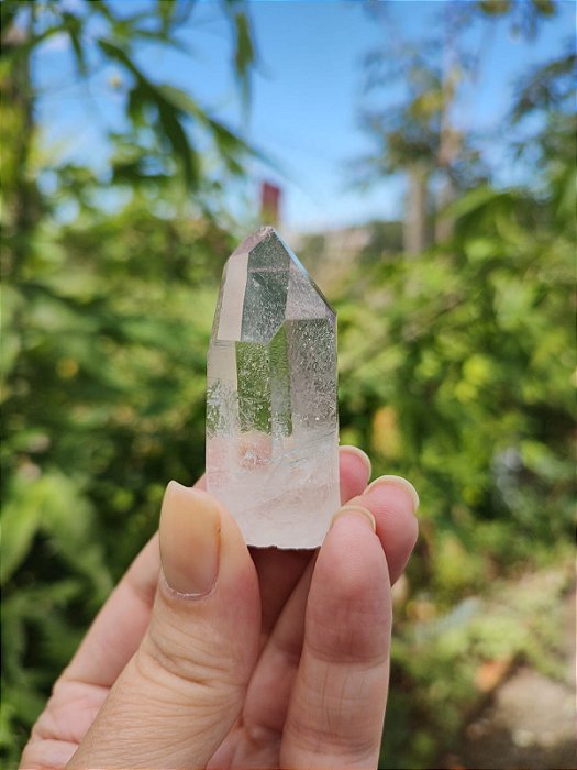 Mestre Semente Estelar Janela da Alma