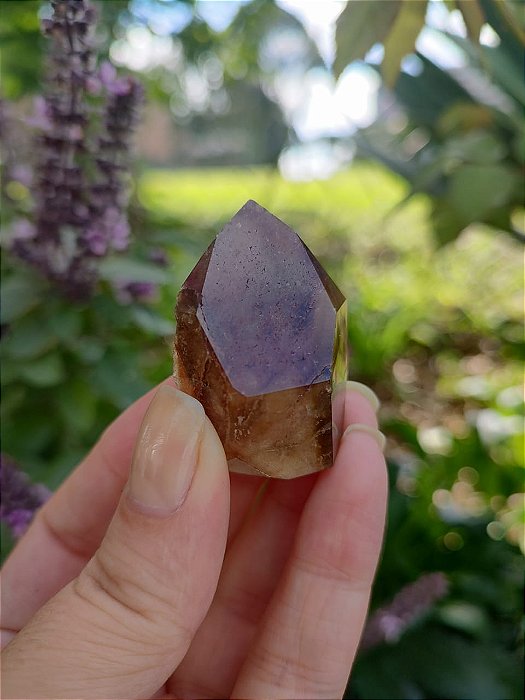 Casaco dos Sonhos - Dream Coat