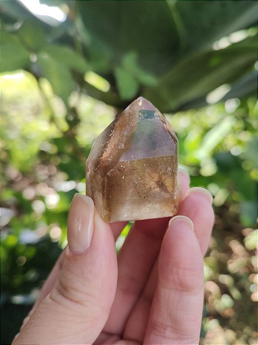 Casaco dos Sonhos - Dream Coat