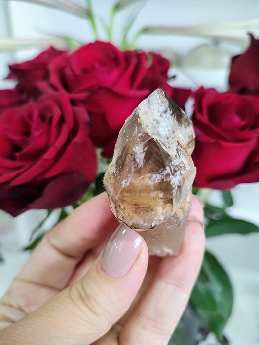 Cetro Elestial Fumê