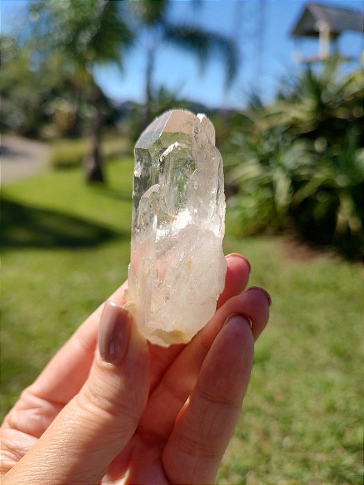 Citrino Catedral Elo do Tempo