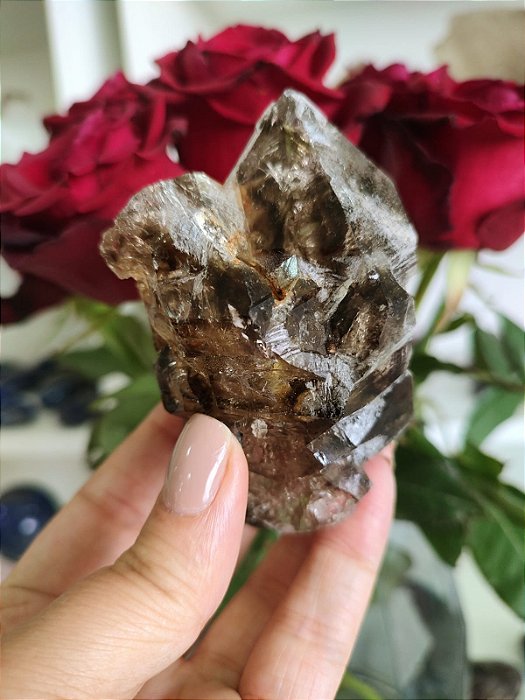 Mestre Elestial  Fumê (extra)