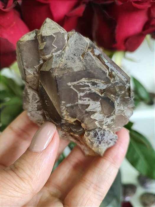 Mestre Elestial  Fumê com Ametista