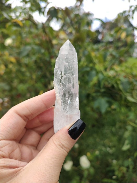 Mestre Laser Catedral