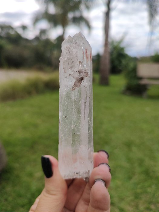 Mestre Laser Autocurado