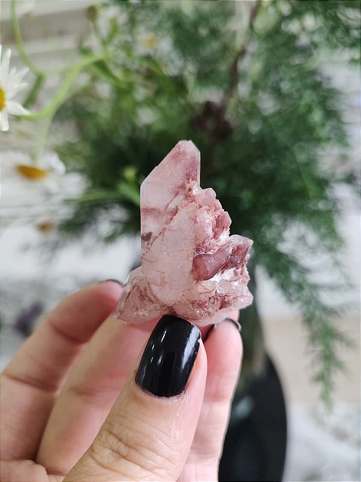 Formação Pink  Biterminado