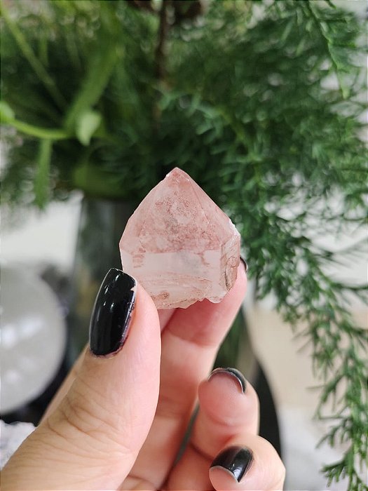 Formação Pink base Autocurada