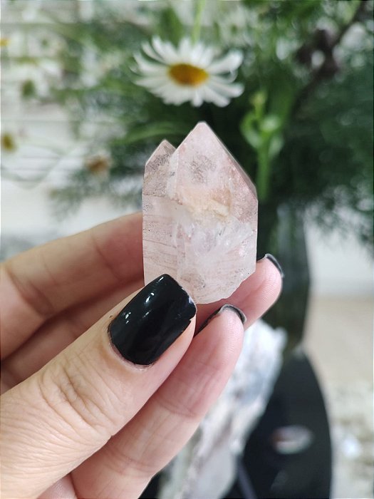 Formação Pink Mestre Gêmeo