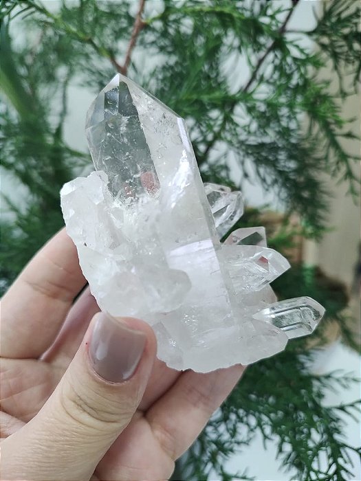 Drusa Cristal
