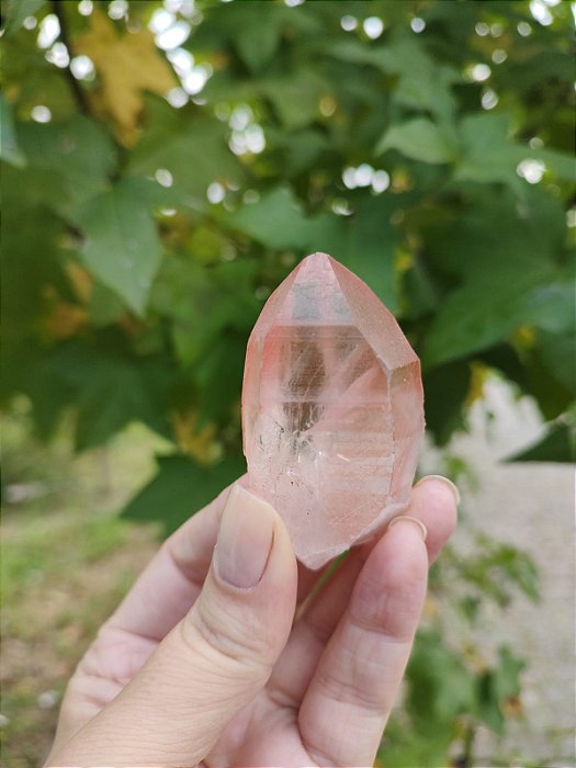 Ponta Pink com Marcações Lemurianos