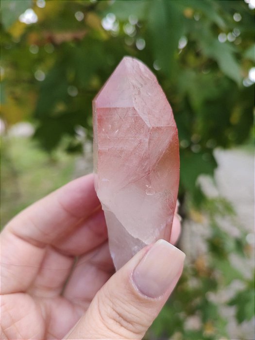 Ponta Pink com Marcações Lemurianas