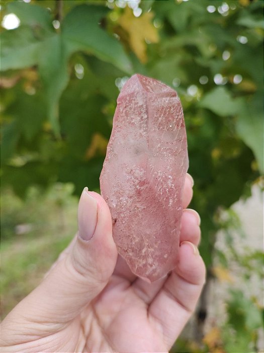 Ponta Pink Autocurado
