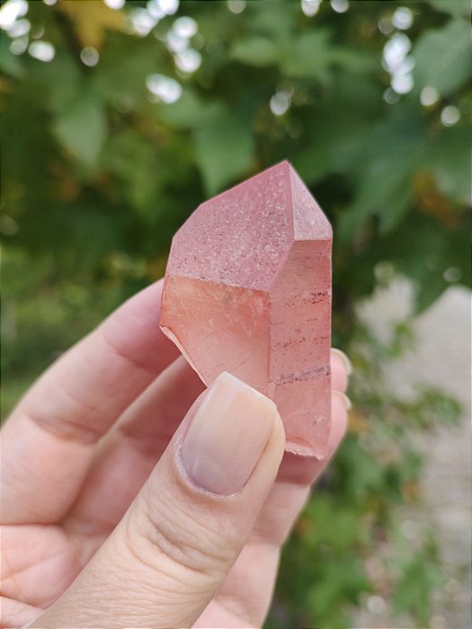 Ponta Pink com Marcações Lemurianas