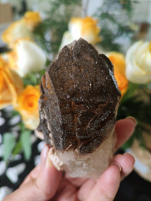 Ponta Mestre Elestial Marrom