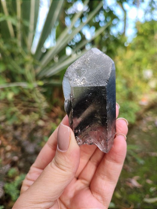 Mestre Lemuriano Phantom Negro