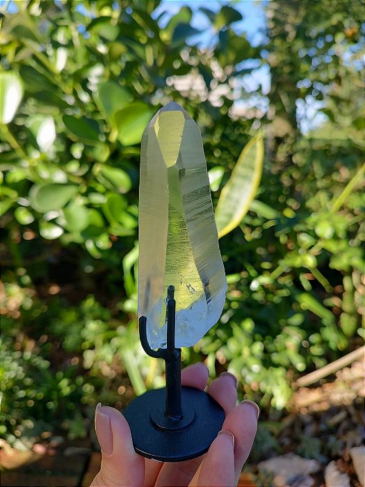 Mestre Lemuriano com base